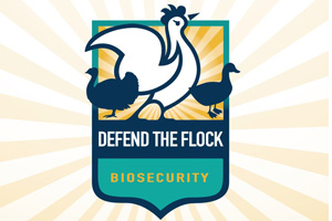 Protect the Flock